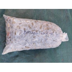 Βότσαλο Ποταμίσιο Χρώμα Γκρί 2-4cm (Σακί)